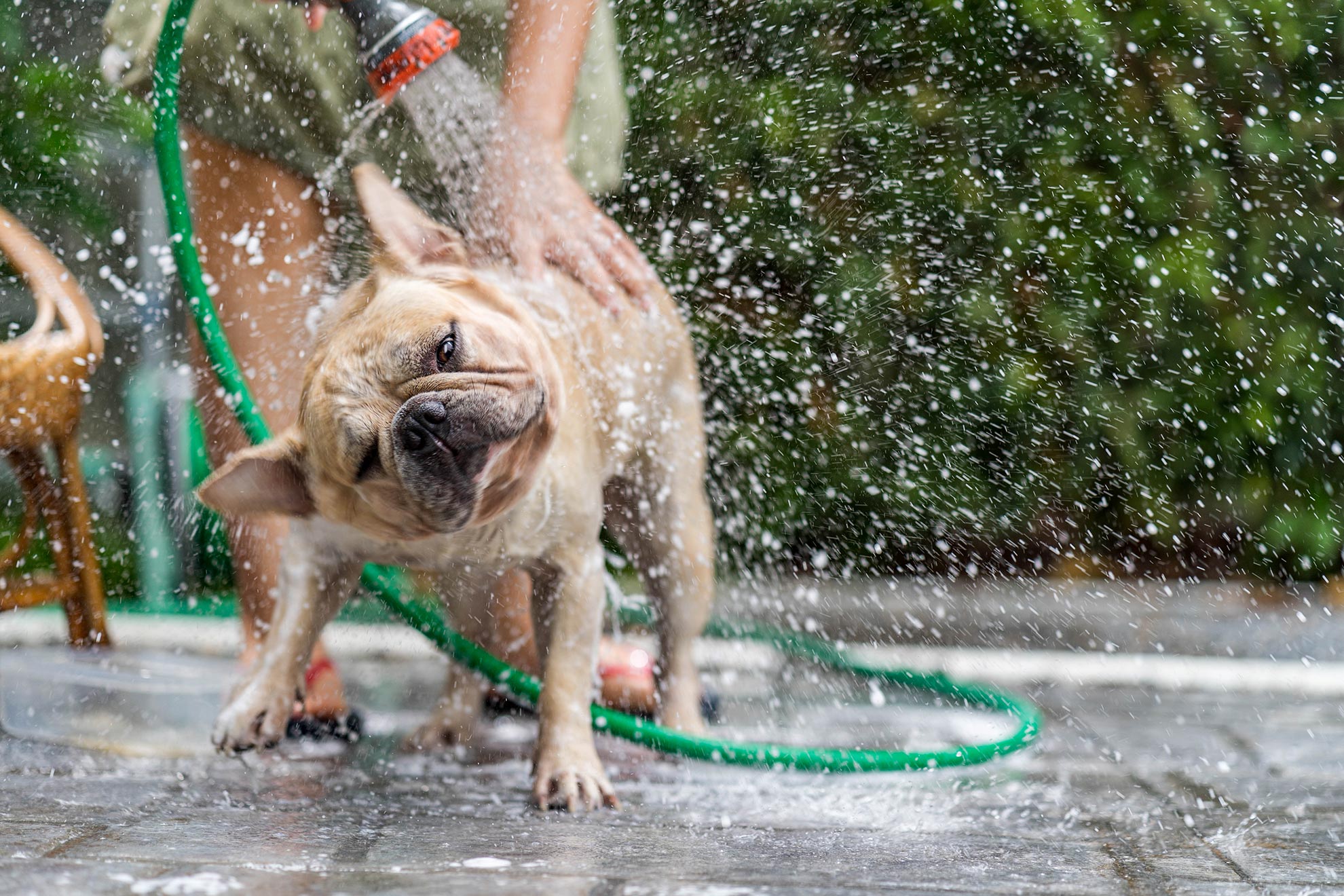 Pet friendly campsite in Tuscany